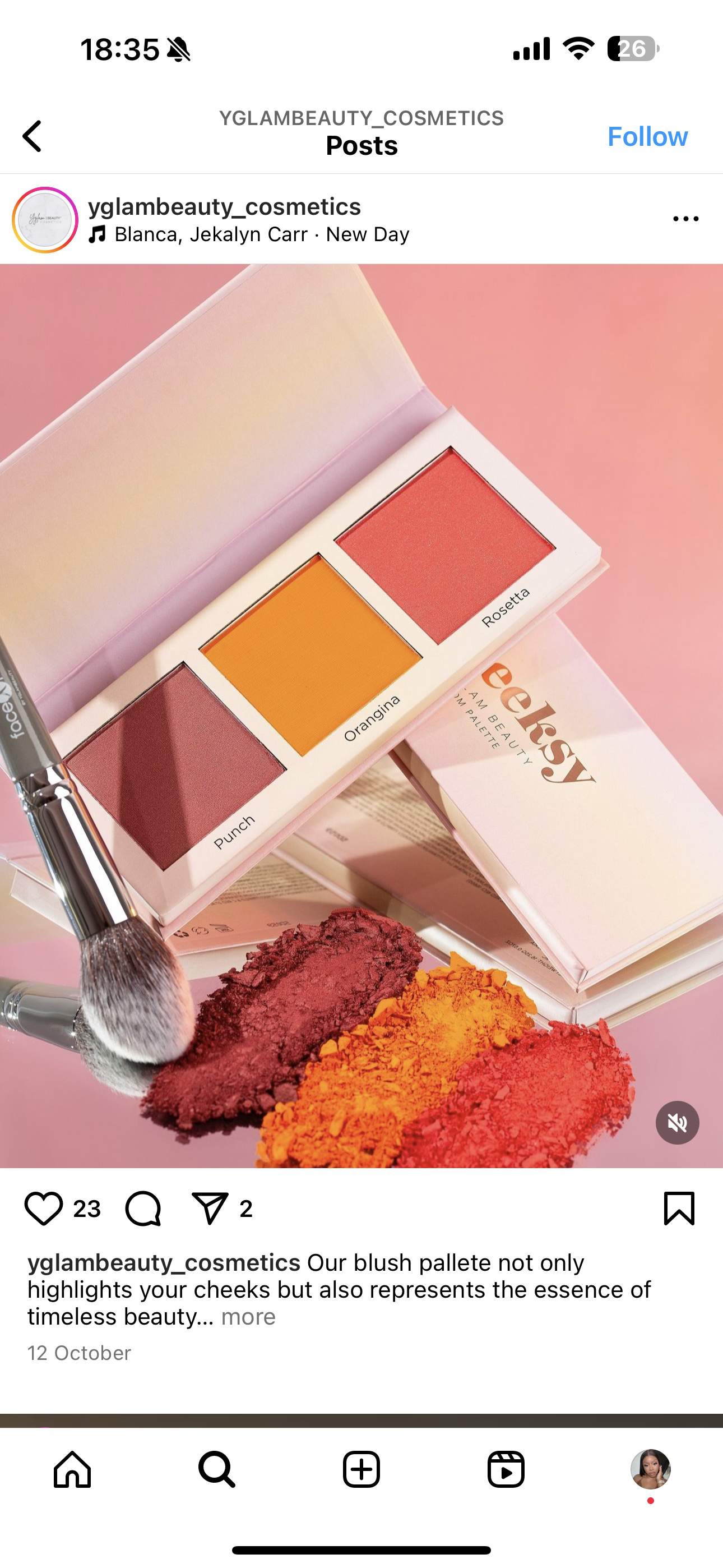 Yglam Beauty 'Cheeky' Blush Palate